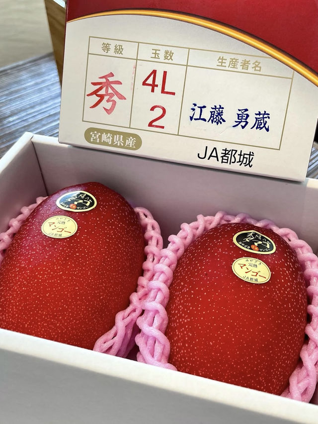 【福岡旅行】フルーツのパフェといえばココ
