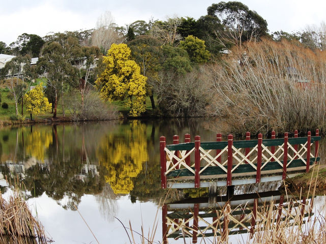 🏔️🌿 Spring Mountain Escape: A Cozy Weekend in Victoria’s Highlands