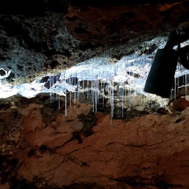 The magical Te Anau Glowworm Cave in the South Island of New Zealand