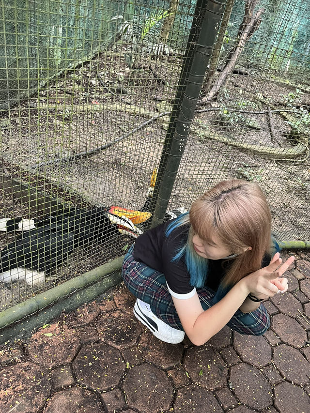 好玩程度破表！曼谷 Safari World 是我心中 No.1 的動物園