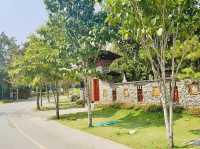 APRIL OASIS: CHIANG MAI’S TRADITIONAL TEAK TREASURES