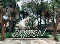 The Oxygen Beachfront Oasis