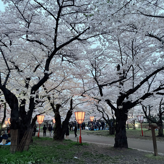 A romantic city in bloom (Morioka)