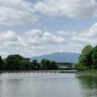 Lush Reflections: Fukada Pond