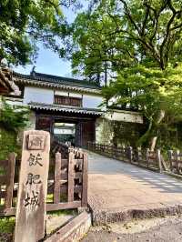 美好時光下的飫肥城下町