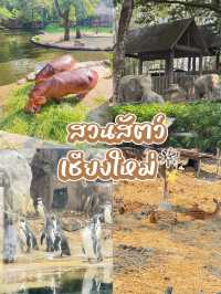 สวนสัตว์ ที่เชียงใหม่ 2025