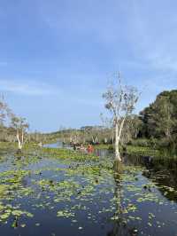 ทริประยอง 2 วัน 1 คืน – พายเรือท่ามกลางดอกบัว เดิน