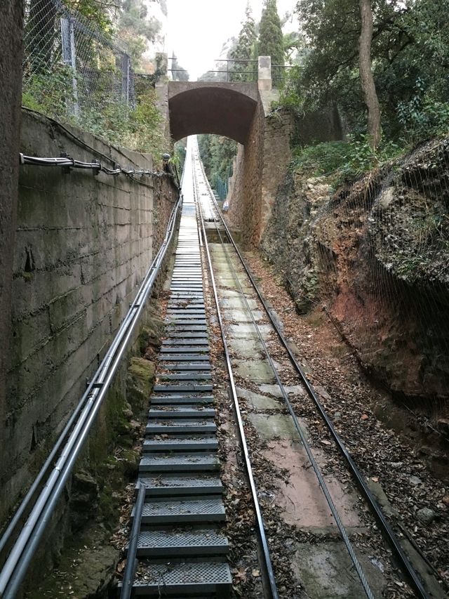 신기한 푸니쿨라