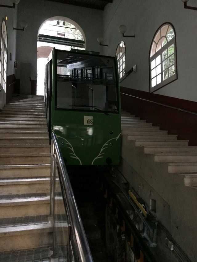 신기한 푸니쿨라