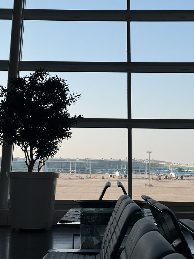 인천 공항 라운지 이용 ✨