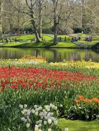 🌷Springtime in Amsterdam — An Unexpected Crush!☀️🚲