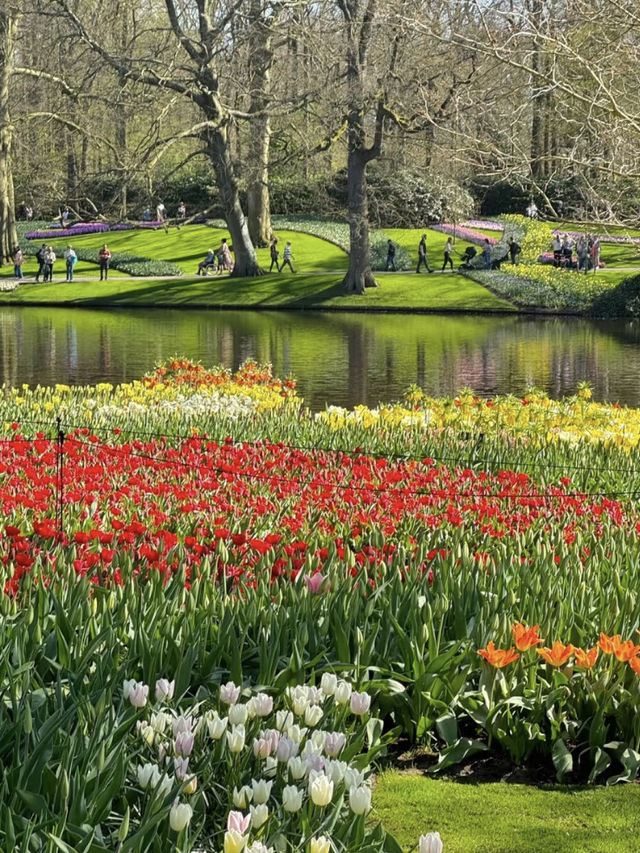 🌷Springtime in Amsterdam — An Unexpected Crush!☀️🚲