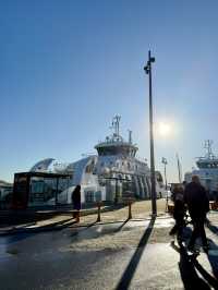 A Day of Art in Oslo – Museums, Murals & Munch Cookies