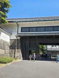 “Petals of the Past: The Sakura Crown of Tokyo”