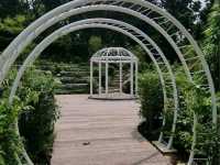 HortPark – Singapore’s Serene Oasis for Nature Lovers and Garden Enthusiasts