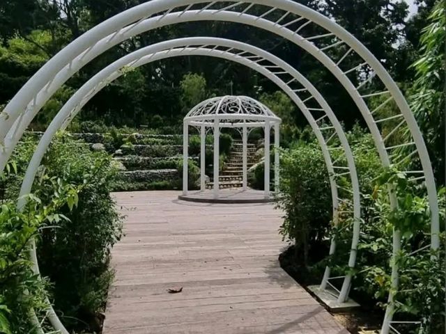 HortPark – Singapore’s Serene Oasis for Nature Lovers and Garden Enthusiasts