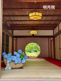 神奈川の紫陽花スポット2選