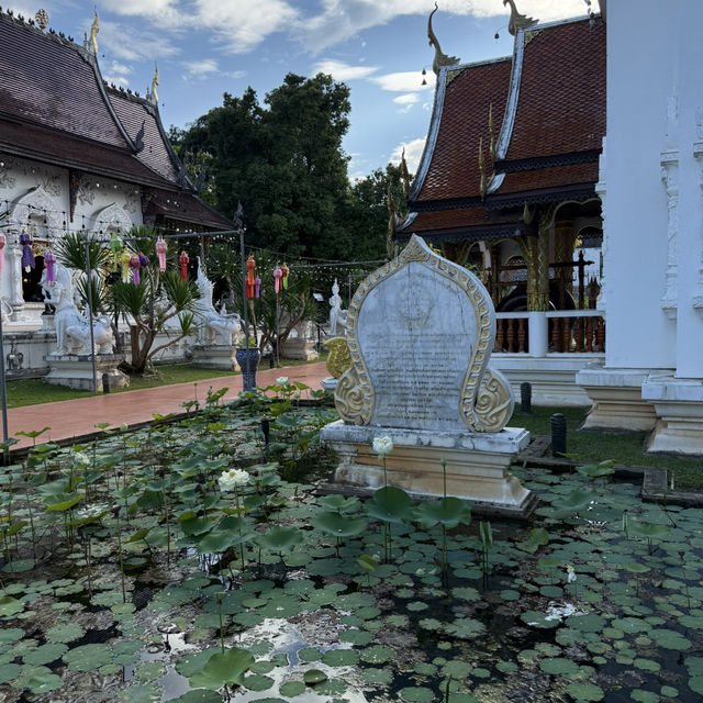 วัดป่าดาราภิรมย์ - แม่ริม