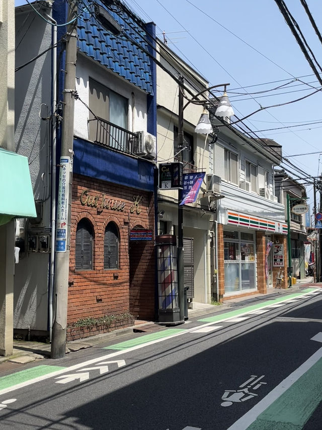 하타가야 주변 산책🌿