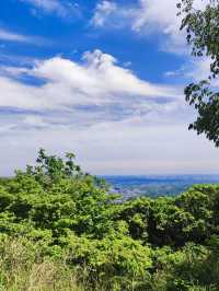 A Hike Through History – Exploring Hachioji Castle Ruins & Fujimidai Views