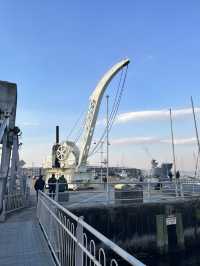 Harborside Flavors & History: Why Hobart’s Waterfront Hooks You In