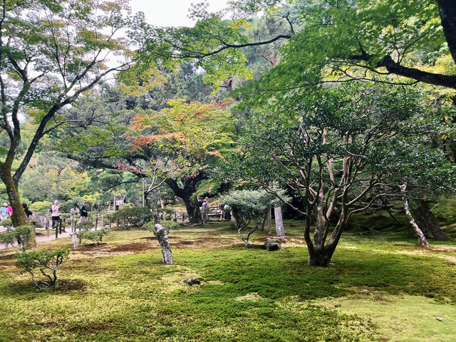銀閣寺｜神奇視覺錯感銀沙灘！