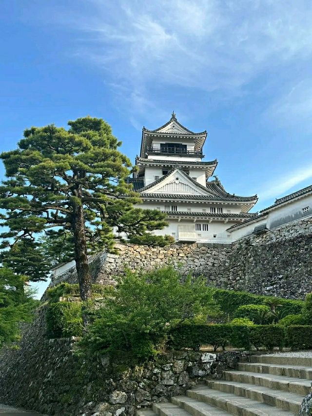 Kochi Castle – A Timeless Treasure of Shikoku
