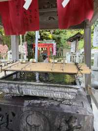 三浦半島の総鎮守「海南神社」—歴史と文化が息づく港町の守り神 