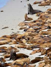 Channel Islands National Park