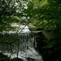 Slieve Bloom Mountains – Ireland’s Hidden Highlands