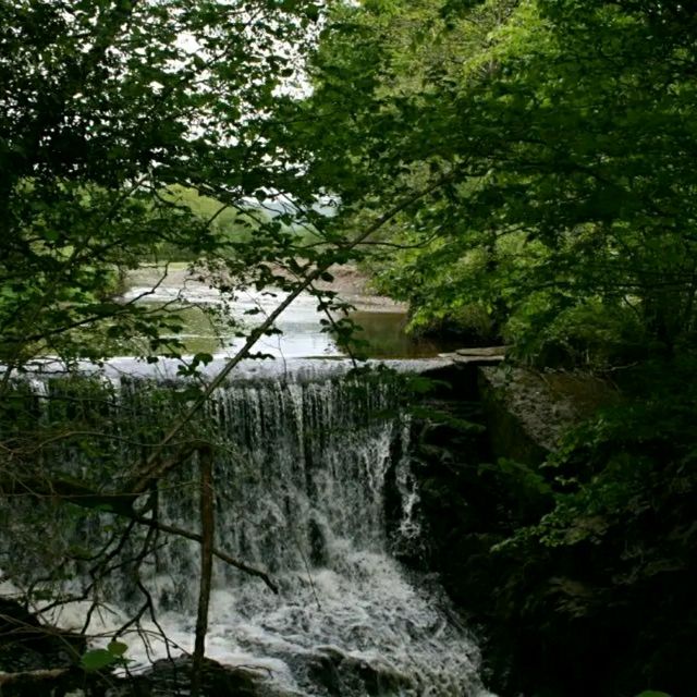 Slieve Bloom Mountains – Ireland’s Hidden Highlands