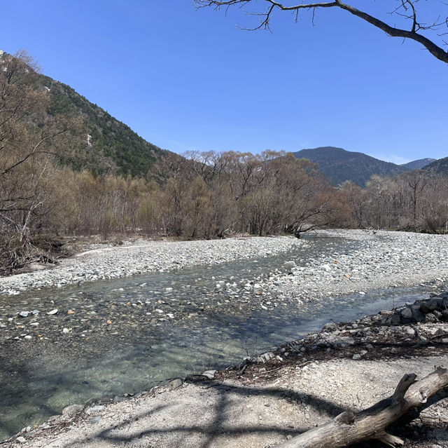 🌿 山と水の楽園へようこそ：上高地の春散策 🏞️✨