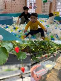 藤枝市で子連れプラン🍓🌳