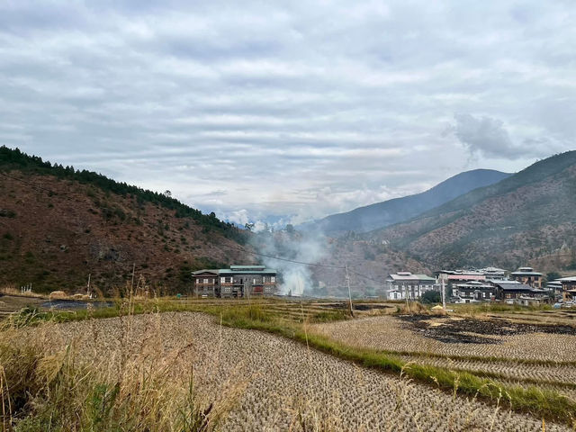 Punakha’s Fertility Temple – Where Culture Meets the Countryside