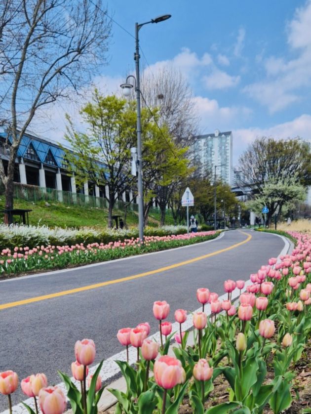 A Refreshing Escape at Eungbong Sports Park