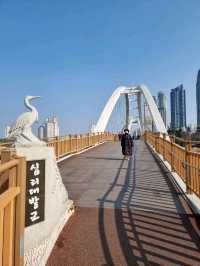 울산 하루 코스: 오전엔 숲, 오후엔 바다, 밤엔 관람차