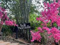Wang Rom Muang: A Culinary Hideaway in Nature