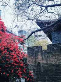深圳｜一秒千年，穿越南頭古城🌸🏮