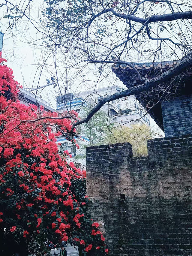 深圳｜一秒千年，穿越南頭古城🌸🏮