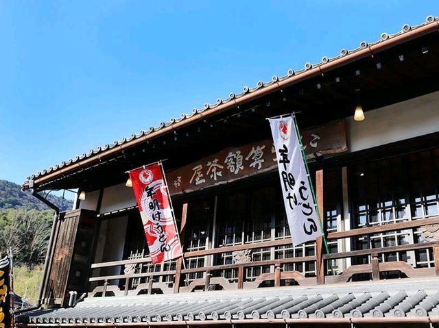 【🇯🇵香川・琴平】金刀比羅宮参道で味わう本格手打ちうどん「こんぴらうどん 参道店」