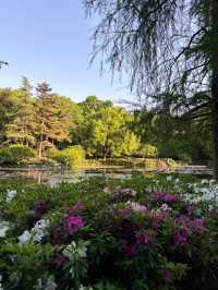 เดินเล่นใน Hangzhou Botanical Garden