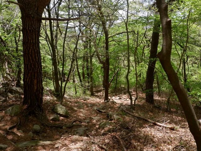 Tiny Hike, Big Vibes