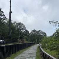🚉 沼平車站｜通往阿里山仙境的門戶，全台最高木造車站