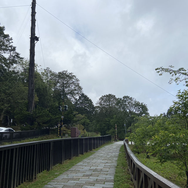 🚉 沼平車站｜通往阿里山仙境的門戶，全台最高木造車站