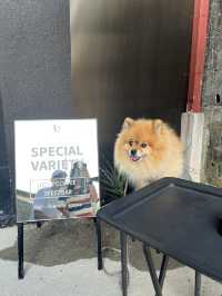 คาเฟ่ pet friendly 
