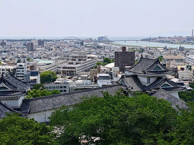 和歌山景點｜日本百大名城之一，歷史與景觀結合唯一的優雅之城—和歌山城