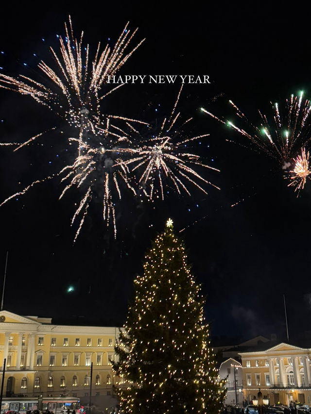 【フィンランド🇫🇮】年越し！ヘルシンキ！花火🎆
