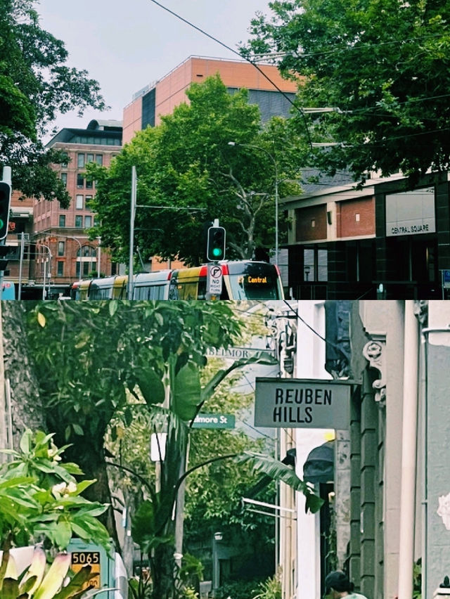 호주 시티투어와 페더데일 동물원 – 하루에 끝내는 시드니 도심+야생동물 체험 일정