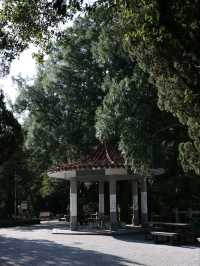 วัดเสวียนจวง (Xuanzang Temple / 玄奘寺)