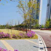 A Tranquil Urban Escape: A Review of Songdo Global Park 